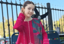 Pakistani Social Media Influencer Shot Dead by Relative; Honour Killing Suspected