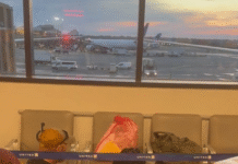 India Raises Concerns with U.S. Embassy Over Viral Video of Handcuffed Student