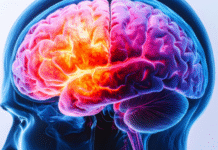 Deadly Brain Cancer Found to Alter Skull and Immune Response: Study