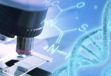 Gene Therapy Shows Promise as Long-Lasting HIV Treatment, Study Finds