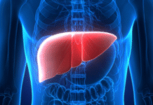 Study Reveals How Plastic Particles in Food and Drinks Can Harm Liver Function