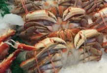 Imported Seafood Linked to Rising Resistance to Last-Resort Antibiotic Colistin: Study