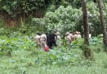 Dharmasthala Mass Grave Case: SIT Continues Excavation Amid Rain, Recovers Clothing, PAN Card