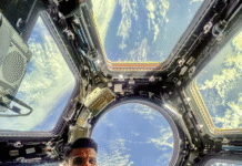 Shubhanshu Shukla Experiments with Sprouting Green Gram, Fenugreek Seeds in Space