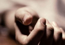 767 Farmers Died by Suicide in Maharashtra Between January and March 2025: Minister