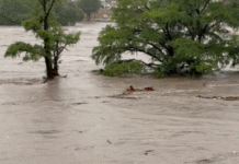 Death Toll from Texas Floods Surpasses 100; Search and Rescue Efforts Continue
