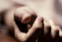 Kolkata Man Detained for Allegedly Beating Mother to Death