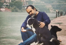 Humane Stray Dog Plan Needed, but Climate Crisis Is the Bigger Fight: Acharya Prashant