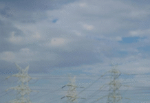 K-Pop Star and Bigg Boss 17 Contestant Aoora Drops New Indo-Korean Track ‘Khimchi Dosa’