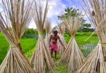 India Expands Import Ban on Goods from Bangladesh