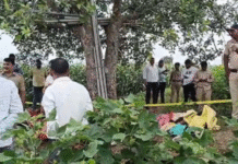 Five of a Family Killed by Electrocution in Maharashtra, Farm Owner Booked