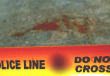 Man in Jalpaiguri Accused of Killing Wife, Carrying Her Heart and Body Parts in Bag