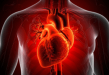 Study Finds Dormant Bacteria Can Trigger Heart Attacks