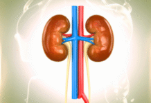 Scientists Identify Biological Markers to Predict Chronic Kidney Disease Progression