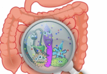 Non-antibiotic drugs may disrupt gut microbiome, increase infection risk: Study