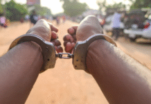 Kashmir Police Arrest Man for Aiding Pahalgam Terror Attack