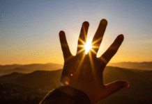 Climate Change Could Trigger $1.5 Trillion Productivity Loss by 2050, Warns WEF Report