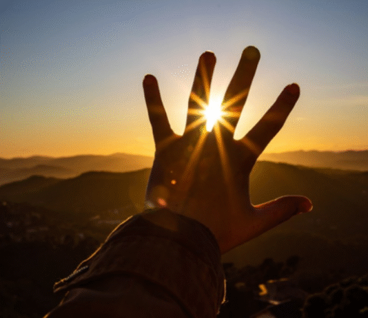 Climate Change Could Trigger $1.5 Trillion Productivity Loss by 2050, Warns WEF Report