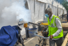 Climate Change Could Drive 76% Surge in Dengue Cases Across Asia and Americas by 2050, Study Finds