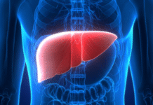 New Blood Test May Predict Risk of Liver Cirrhosis and Cancer Up to 10 Years in Advance