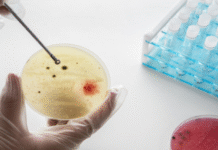 Airborne Pathogens Twice as Prevalent in Crowded Cities, Study Finds