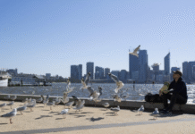 Climate Change Blamed for Nearly 100,000 Deaths in 2023 Heatwaves, Global Study Finds