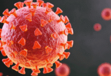 Covid-19 Infection in Fathers May Alter Sperm, Raise Anxiety Risk in Offspring: Study