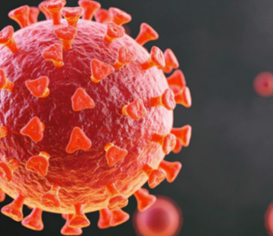 No evidence linking Covid-19 vaccines to sudden deaths among young adults, says AIIMS study