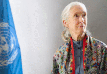 World Pays Tribute as Legendary Primatologist Jane Goodall Dies at 91