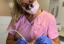 Japanese Scientists Uncover Stem Cell Mechanism That Could Regenerate Lost Teeth