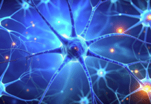 Scientists Capture First Direct Images of Parkinson’s ‘Trigger’ in Human Brain Tissue