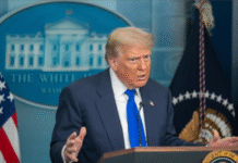 Trump Drops Tariffs on Food Imports; India’s Mango, Tea Exports May Benefit