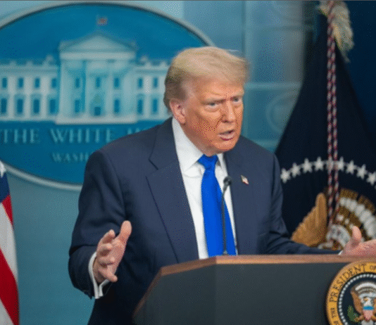 Trump Drops Tariffs on Food Imports; India’s Mango, Tea Exports May Benefit