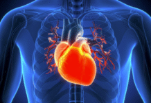 Current Heart Attack Screening Tools Miss Nearly Half of At-Risk Patients: Study