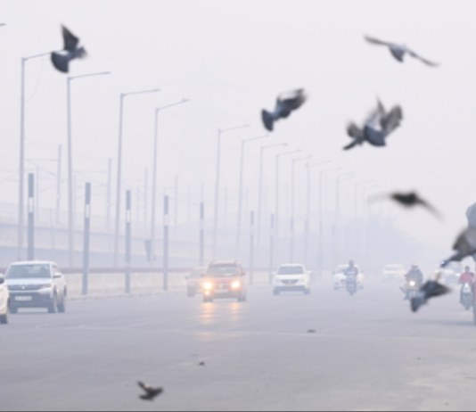 Air pollution can heighten anxiety and trigger panic-like symptoms: Doctors