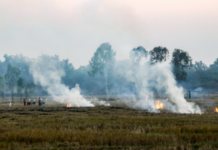 NASA Warns Later-Day Crop Burning in Northern India Is Complicating Air Pollution Tracking