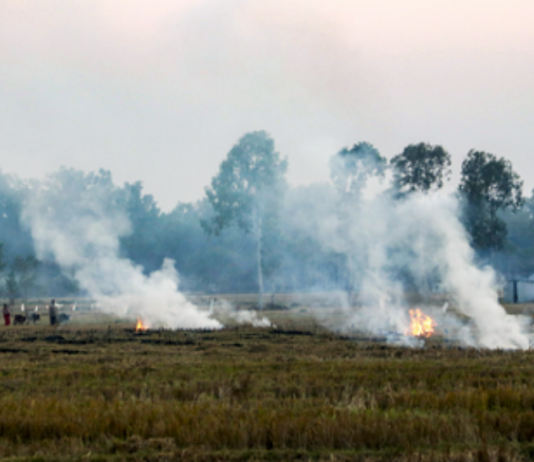 NASA Warns Later-Day Crop Burning in Northern India Is Complicating Air Pollution Tracking