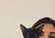 Jacqueline Fernandez Rescues Abandoned Kittens, Urges Compassion for Stray Animals