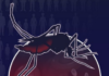Over 600,000 Lives Lost to Malaria in 2024; Drug Resistance Emerging as Major Global Threat: WHO