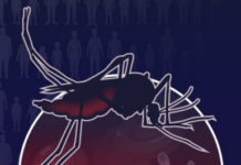 Over 600,000 Lives Lost to Malaria in 2024; Drug Resistance Emerging as Major Global Threat: WHO