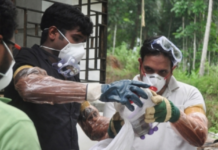 New Nipah Virus Vaccine Found Safe, Shows Strong Immune Response in Early Trial