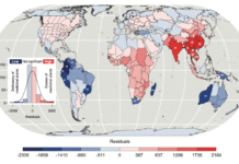 Mapping our deep-rooted relationship with medicinal plants