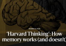 Memory Is Reconstruction, Not Replay: Insights from Neuroscience Experts on Harvard Thinking Podcast
