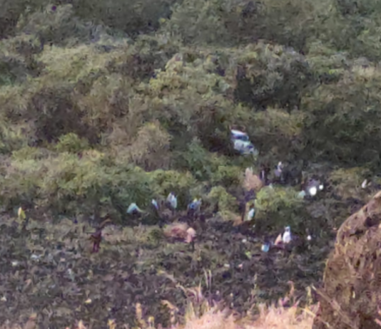 6 Killed as Car Plunges Into 800-Foot Ravine in Nashik
