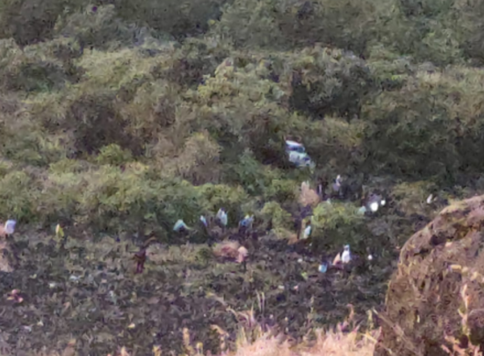 Screenshot 2025-12-07 210152