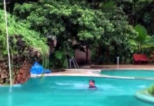 Two Jodhpur Businessmen Die in Thailand; Bodies Recovered From Hotel Pool, Repatriation Expected Today