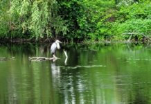 How Do You Know You Are in the Flow?