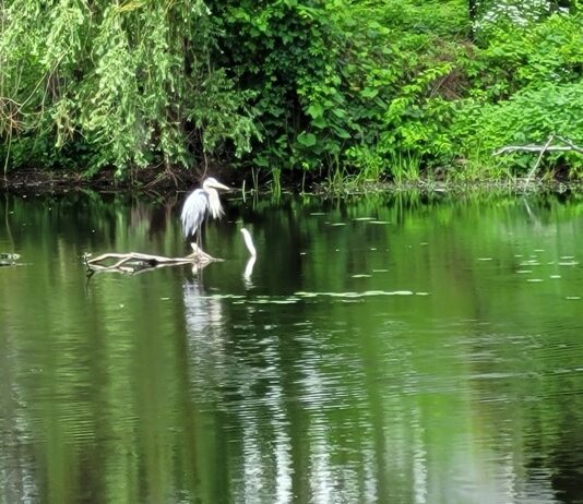 How Do You Know You Are in the Flow?