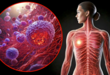 IIT Madras Develops Precision Nanoinjection Platform to Improve Breast Cancer Drug Delivery