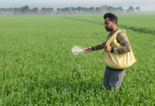 Rabi Crop Sowing Crosses 580 Million Hectares, Government Data Shows